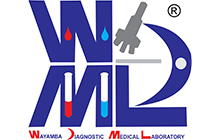 Wayamba Labs