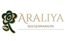 Araliya_Red_Nuwara_Eliya