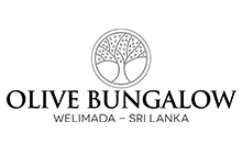 olive bungalow
